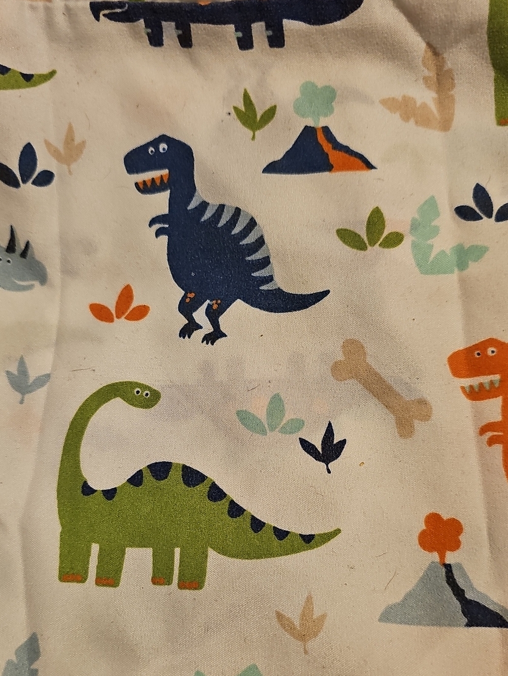 Circo Twin Sheet Set -Cute Dino Print
